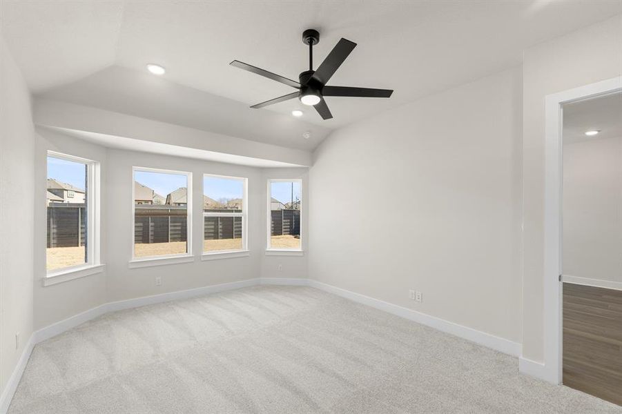 13. 7204 Indian Paintbrush - Primary