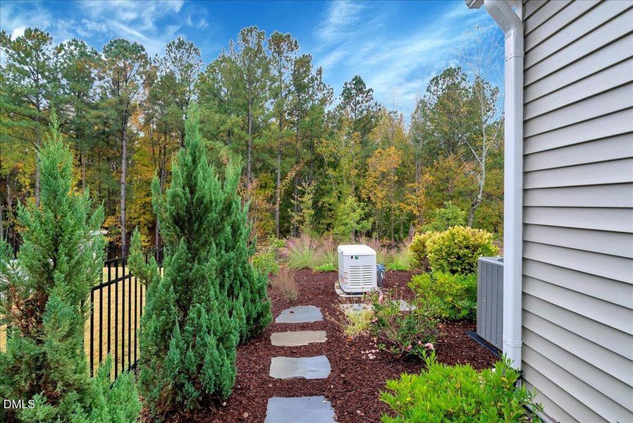 Landscaped Side Path / Generator