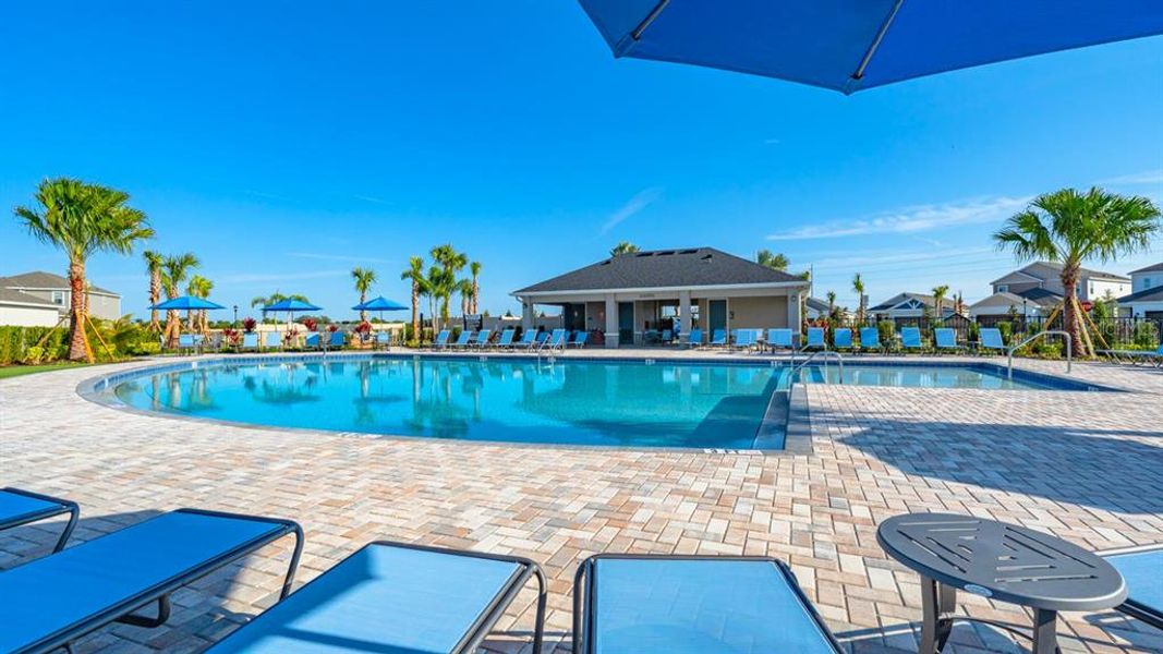 Community amenities in Indigo Creek, Apollo Beach (Image 79).