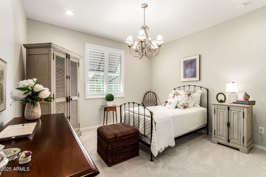 20-Cactus Wren 20-Cactus Wren