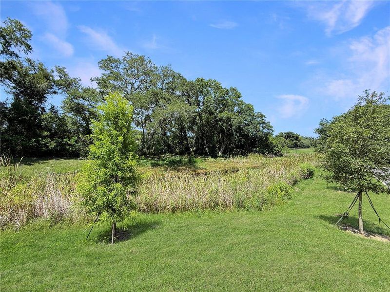 Natural landscape and outdoor views near  in Tampa (Image 31).