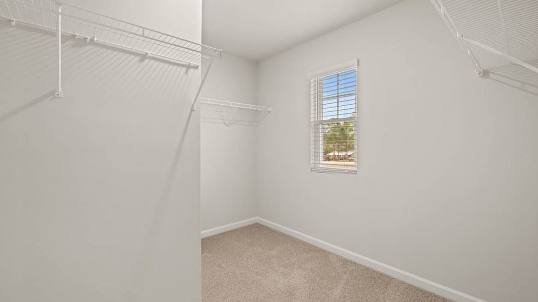 Spacious, unfurnished interior of a new home in The Islands, Beech Island (Image 18).