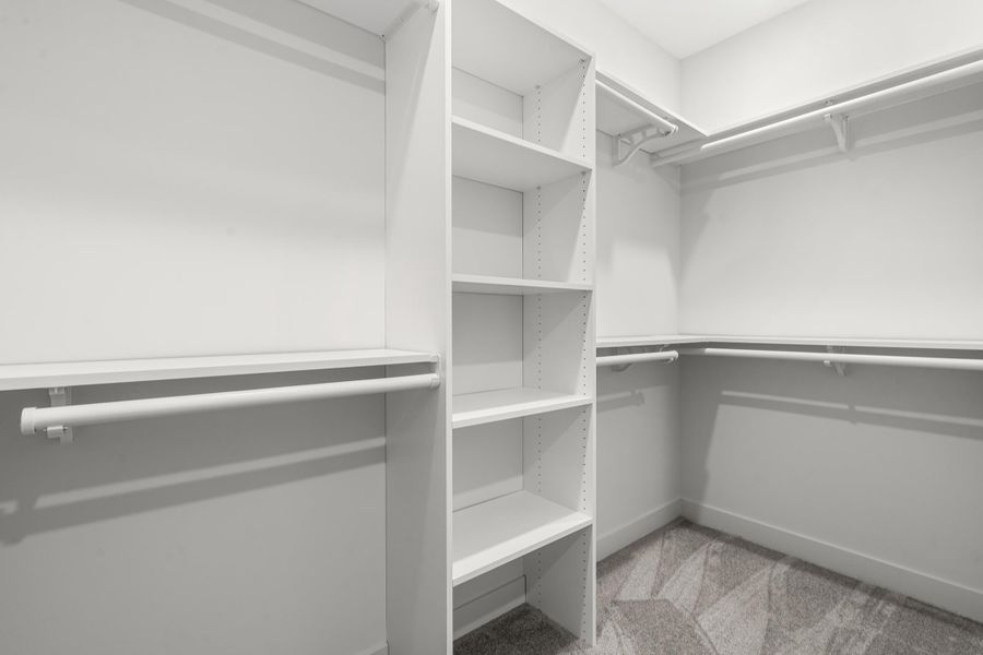 Walk in closet with light carpet