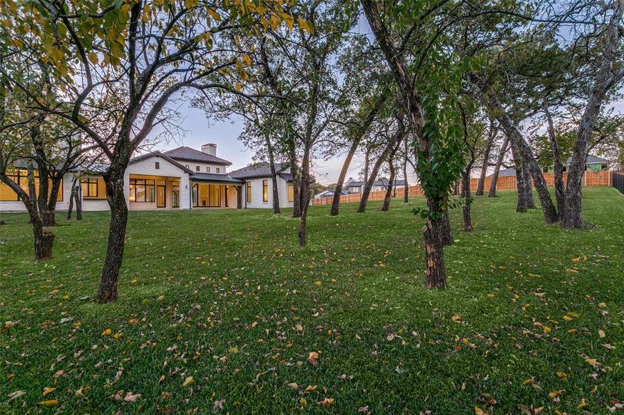 View of yard with a patio area View of yard with a patio area