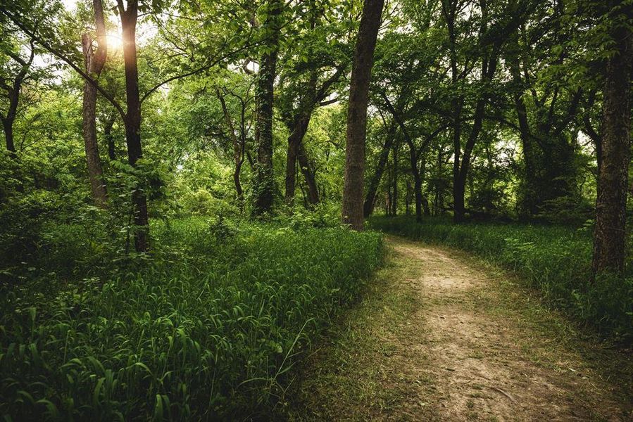 Community Photo Community Photo