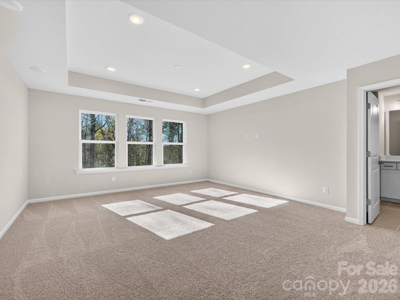 Light filled primary bedroom with tray ceiling and views to wooded backyard