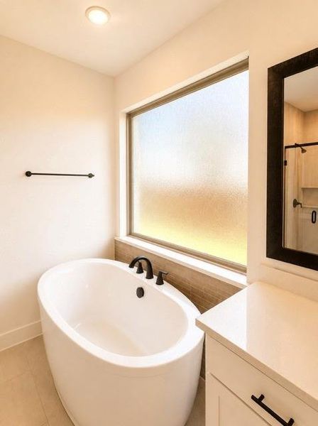 Falls Primary Bath Tub Falls Primary Bath Tub