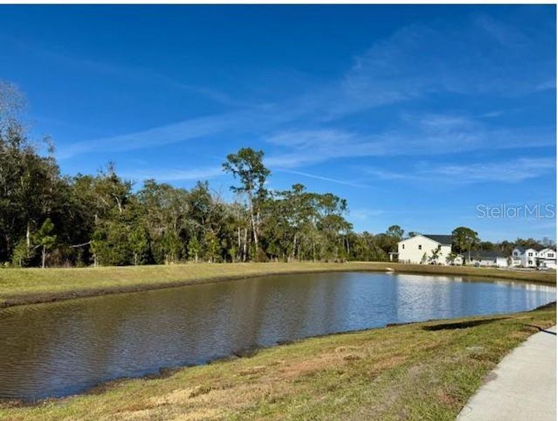Natural landscape and outdoor views near  in Orlando (Image 13).
