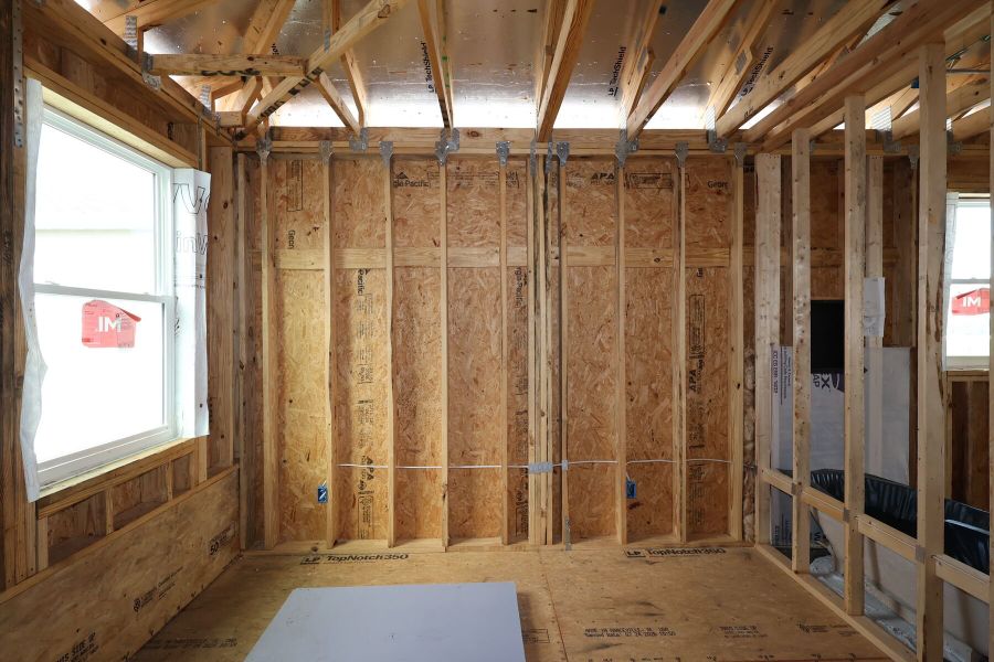 Framing Framing