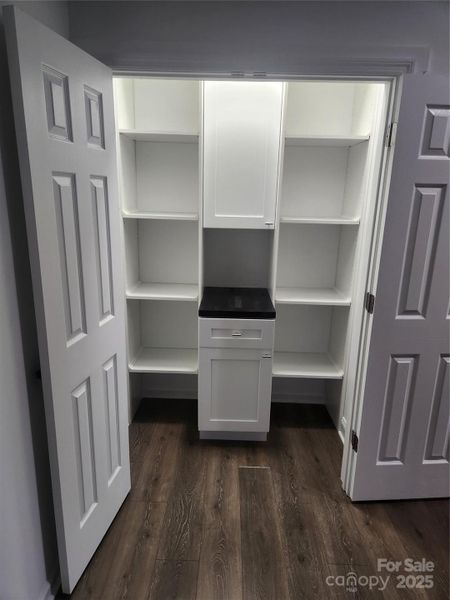 Custom Pantry with Shelving