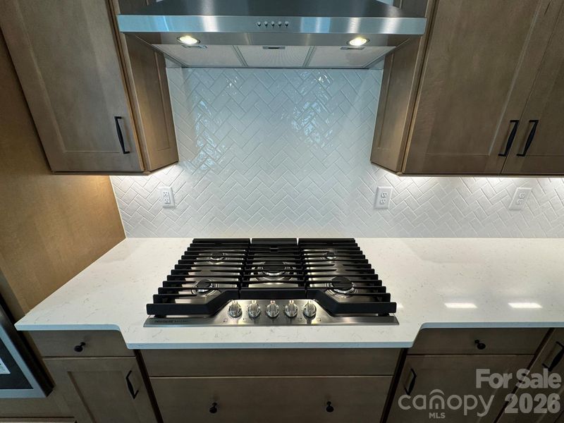 Gas Range Gas Range