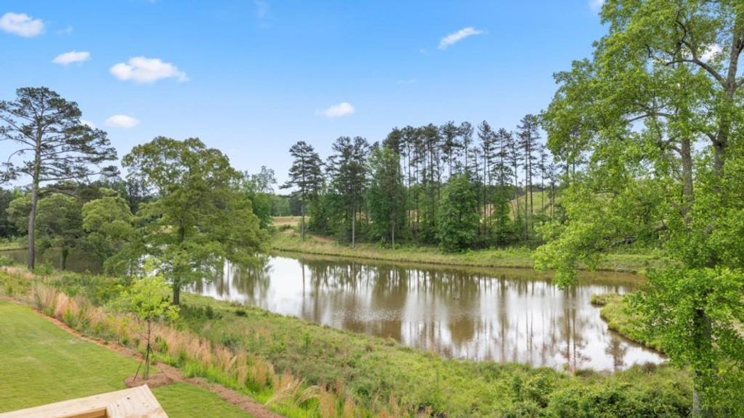Natural landscape and outdoor views near Thompson Ridge in Dallas (Image 32).
