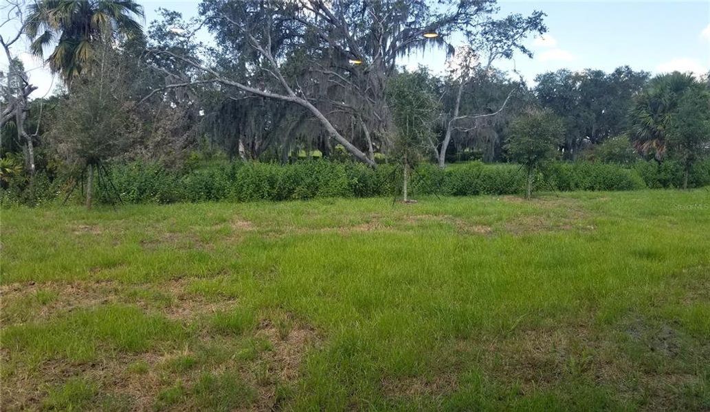 Natural landscape and outdoor views near Charles Cove in Davenport (Image 23). Natural landscape and outdoor views near Charles Cove in Davenport (Image 23).