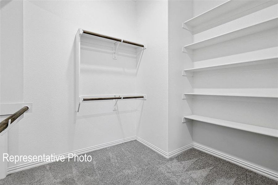Spacious walk-in closet featuring extensive built-in shelving, dual hanging rods, light-colored walls, and gray carpet flooring with white baseboards