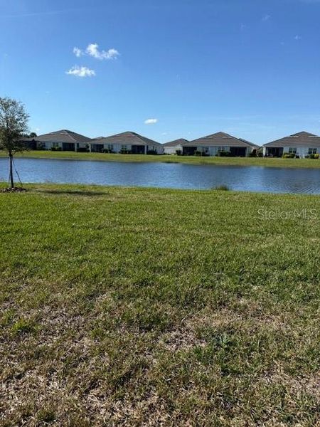 Natural landscape and outdoor views near Star Farms at Lakewood Ranch in Bradenton (Image 14).