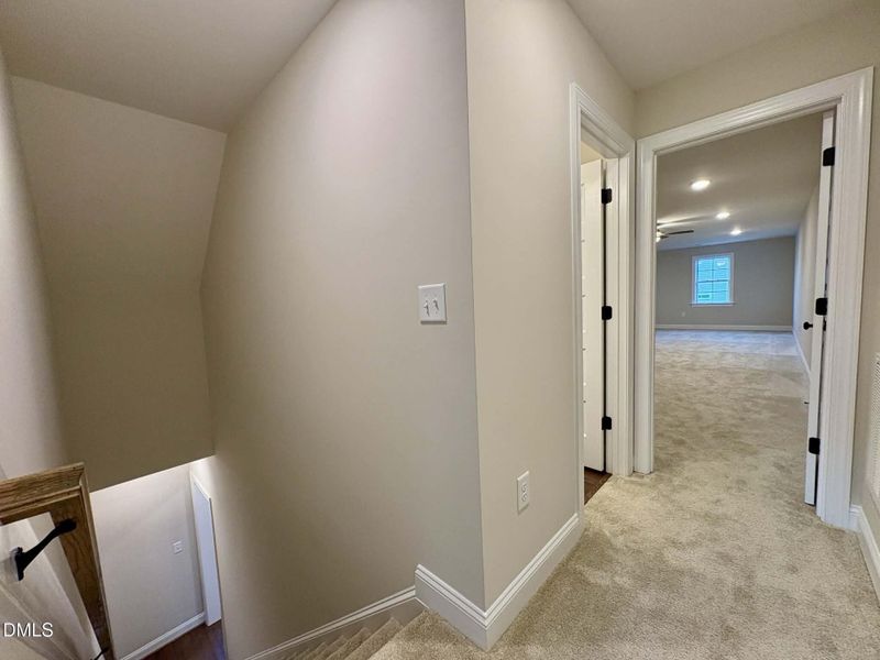 d4812254-d1fa-419d-a2ee-8f9477c31e19