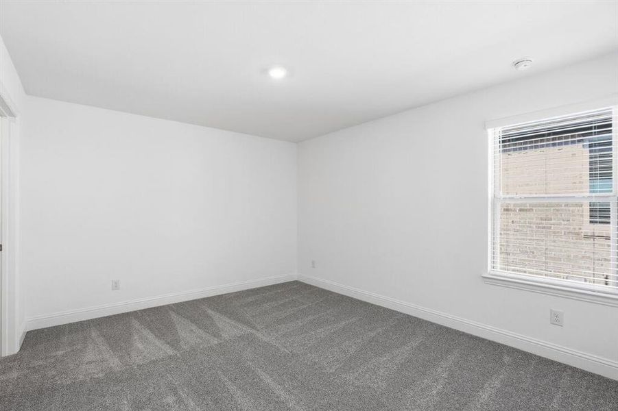 1008 Rainshower ~ Ready Now 1008 Rainshower ~ Ready Now