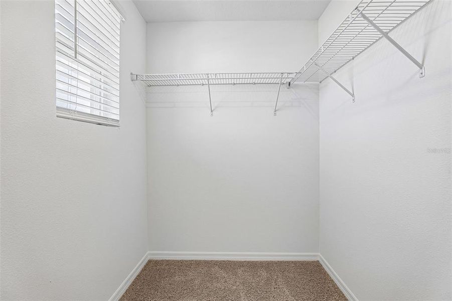 Spacious, unfurnished interior of a new home in , Davenport (Image 30).
