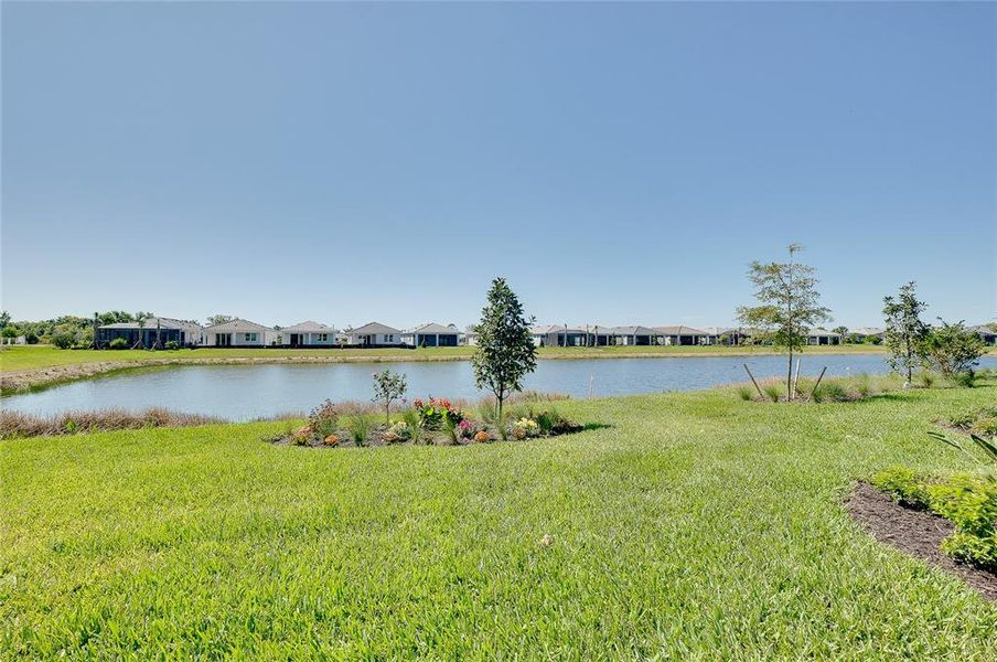 Natural landscape and outdoor views near BeachWalk by Manasota Key in Englewood (Image 77).