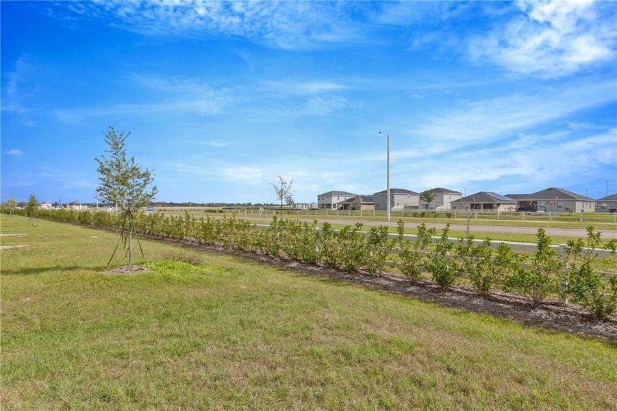 Natural landscape and outdoor views near  in Winter Haven (Image 40).