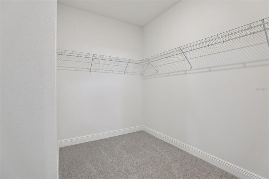 Spacious, unfurnished interior of a new home in Cyrene at Minneola, Minneola (Image 38).