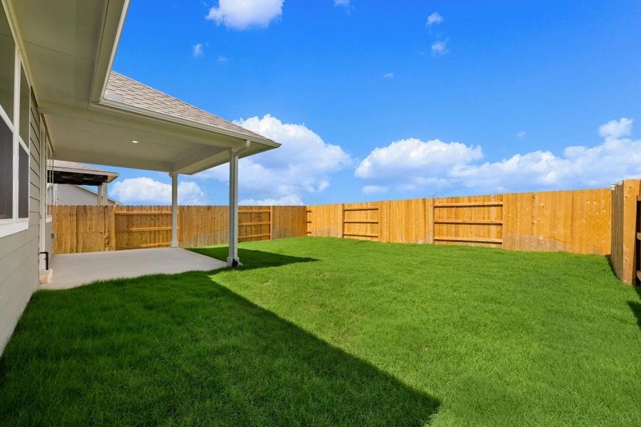 Backyard
