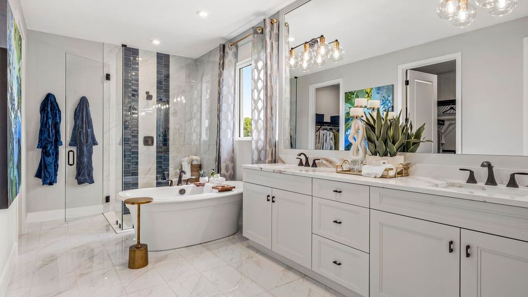 Owner's Bath