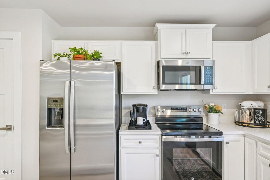 21-web-or-mls-matthiola-S1301-021