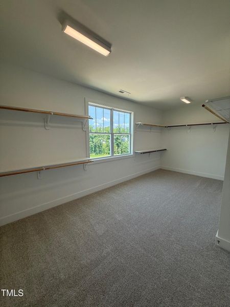 Owner's closet Owner's closet