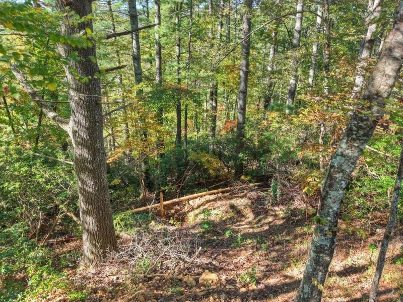 Natural landscape and outdoor views near  in Blue Ridge (Image 15).