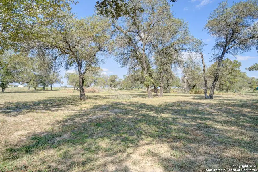 Natural landscape and outdoor views near  in Natalia (Image 21).