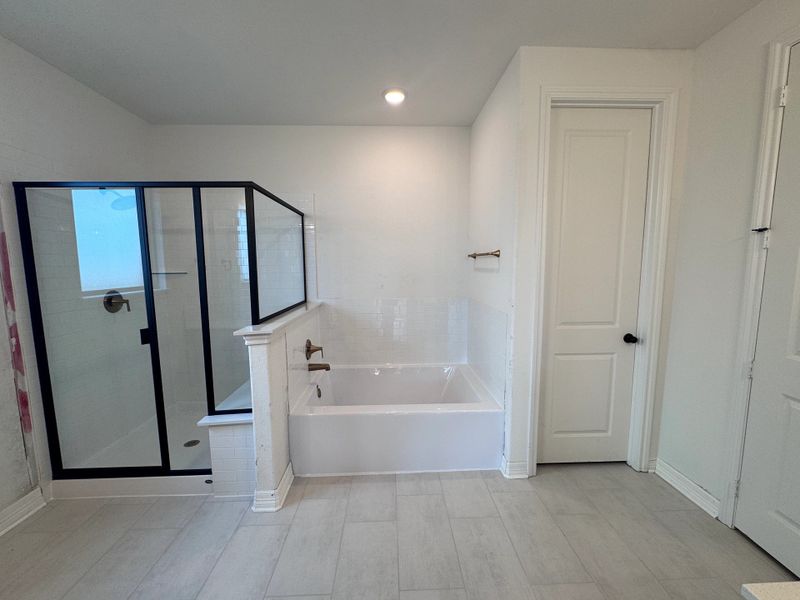 Progress Photo - Primary Bathroom