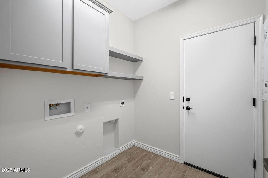 hj-az-phoenix-mystic-discovery-lily-lot-