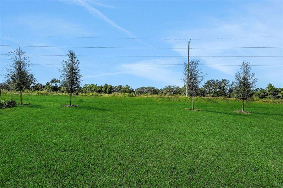 Natural landscape and outdoor views near Willowbrook North in Winter Haven (Image 40).