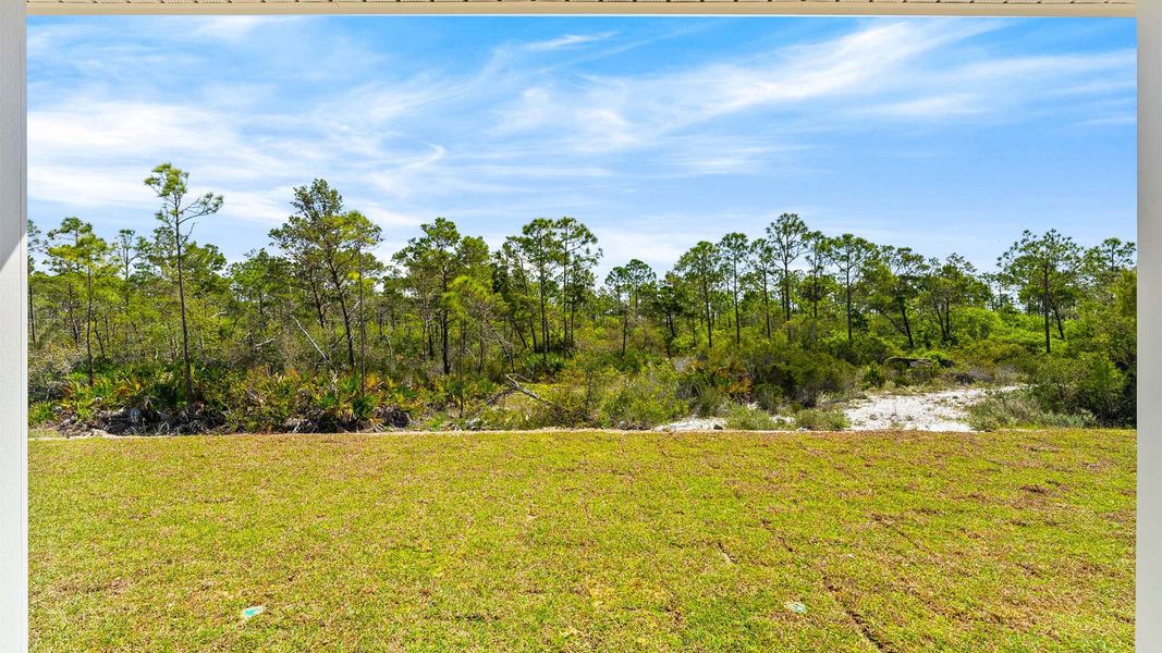Natural landscape and outdoor views near WindMark Beach in Port Saint Joe (Image 35).