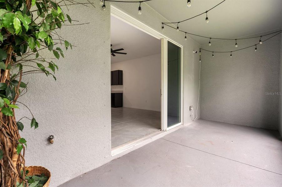 Exterior details and patio area of a home in , Wimauma (Image 24).
