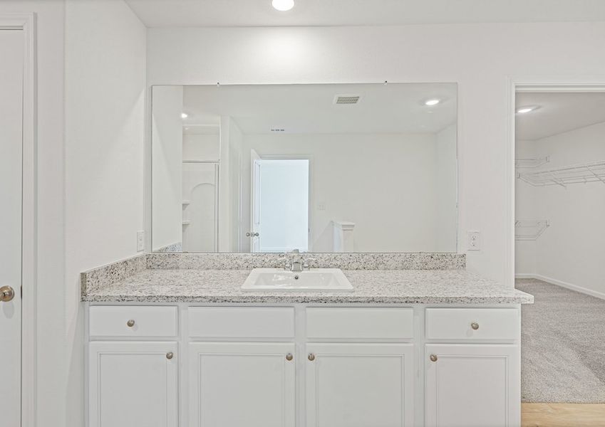 Granite vanity in the master bathroom Granite vanity in the master bathroom