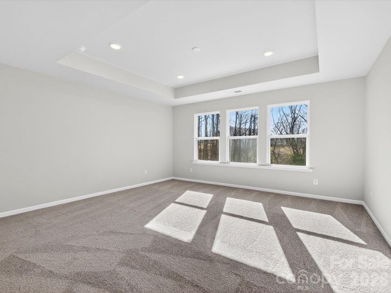 Large Owners suite has tray ceiling, large windows with views of the trees