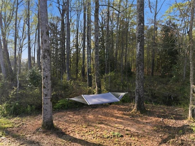 Natural landscape and outdoor views near Nine Oaks in Locust Grove (Image 62).