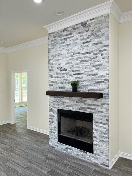 Details with crown molding, hardwood / wood-style floors, and a fireplace