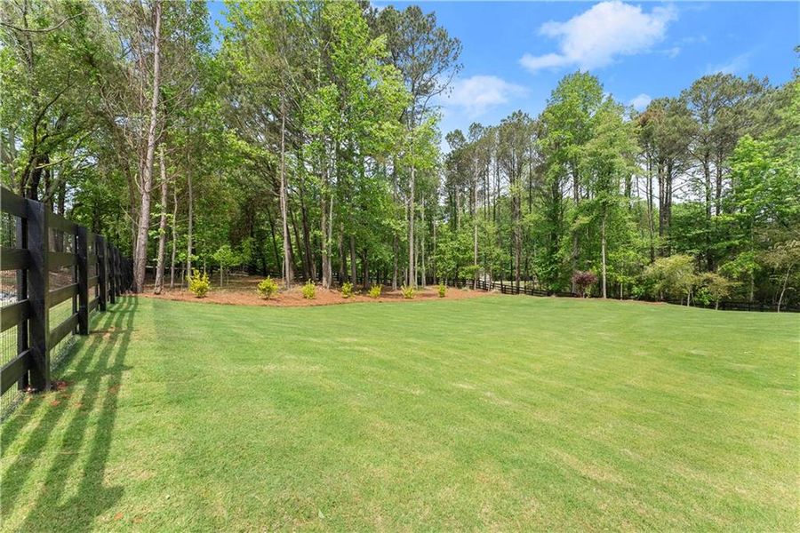 Natural landscape and outdoor views near  in Gainesville (Image 72).