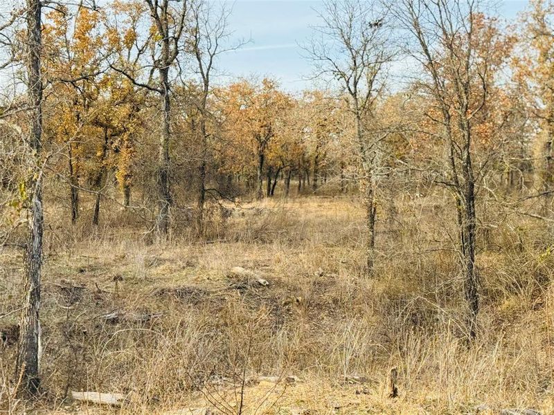 Natural landscape and outdoor views near in Hico (Image 24). Natural landscape and outdoor views near in Hico (Image 24).