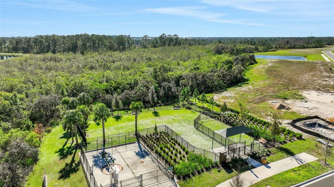 Community amenities in Serenade at Ovation, Winter Garden (Image 29).