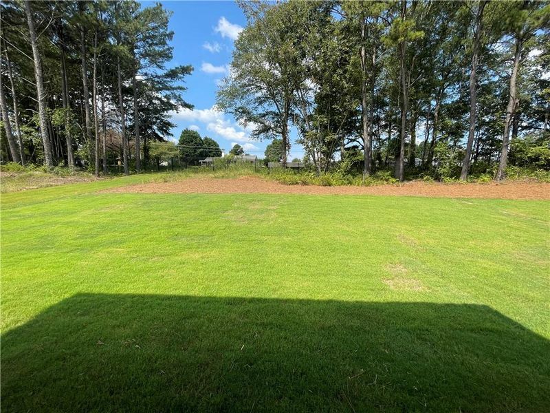 Natural landscape and outdoor views near Summerlin in Winder (Image 58).