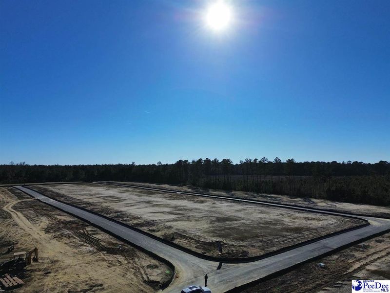 Site preparation for new homesites in Spring Haven, Florence (Image 3). Site preparation for new homesites in Spring Haven, Florence (Image 3).