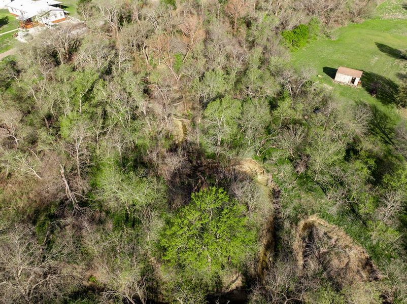 Natural landscape and outdoor views near  in Grandview (Image 33).