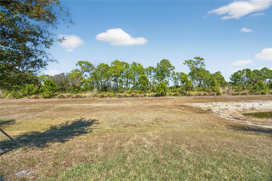 Natural landscape and outdoor views near  in Nokomis (Image 70).