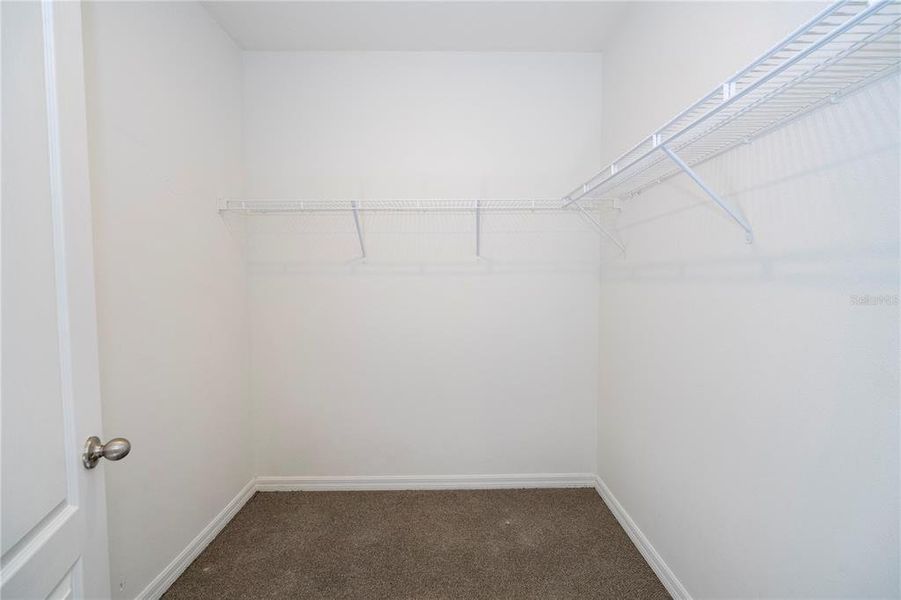 Spacious, unfurnished interior of a new home in Astonia, Davenport (Image 52).