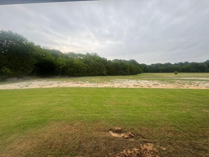 Natural landscape and outdoor views near King Crossing Estates in Van Alstyne (Image 18).