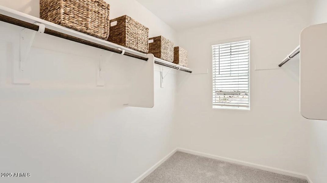 Owners Walk in Closet